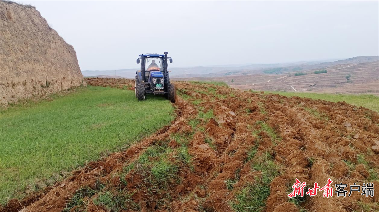 网站8.png 网站8.png